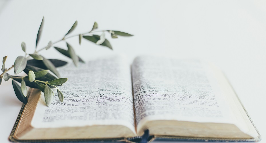 Bible study-930x500