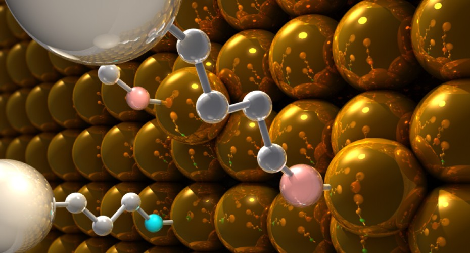 Living Systems Institute - physics of life