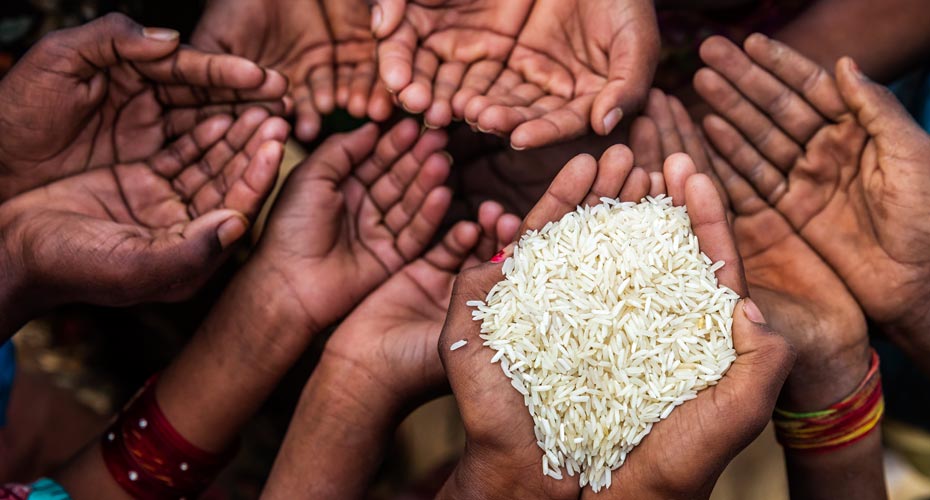 several pairs of empty cupped hands hands. One pair is filled with grains of rice.